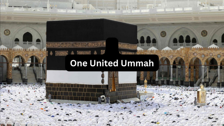 The big argument on who's a "real Muslim" whether it’s over nationality, school of thought, or just the way someone looks, we’re experts at finding ways to divide ourselves into "us" versus "them.” Hajj is a breathing symbol of what we should look like as one united Ummah.